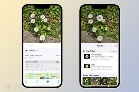من iPhoneIslam.com، الوصف: اثنان من الآي فون يعرضان صورًا مختلفة لزهور باستخدام غرض البحث المرئي.