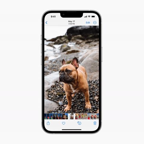 من iPhoneIslam.com، هاتف iPhone به كلب على الشاشة يعرض مشاهد مرئية.
