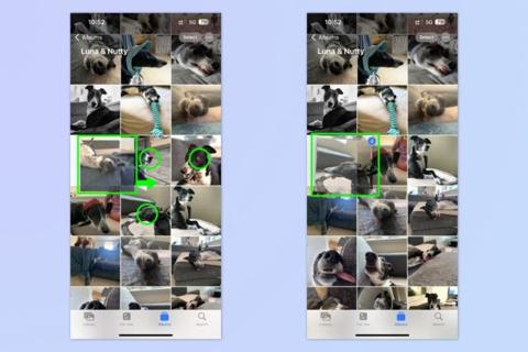 من iPhoneIslam.com، صورة لكلب عليها سهم أخضر تعرض إيماءات مخفية في نظام iOS.