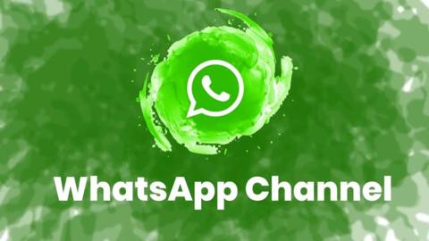 WhatsApp channel